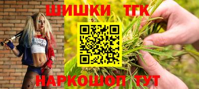дживик Будённовск
