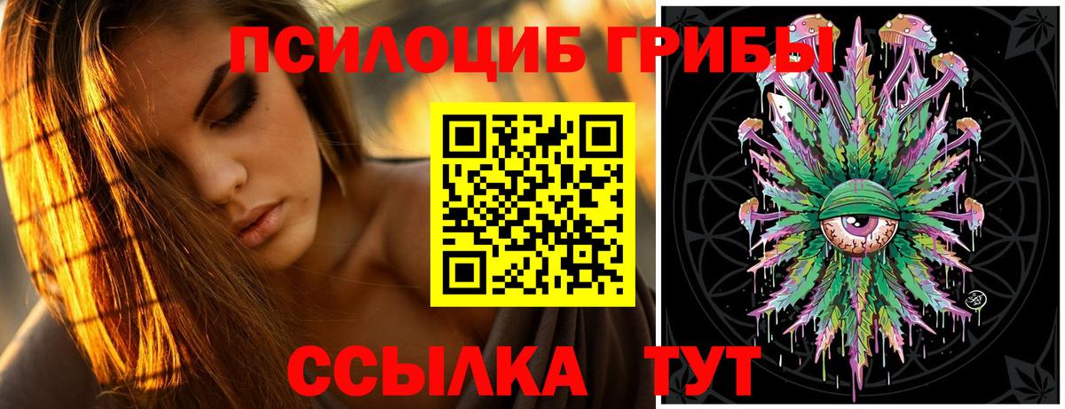 Галлюциногенные грибы Psilocybine cubensis Волхов